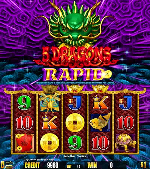 5 Dragons Rapid