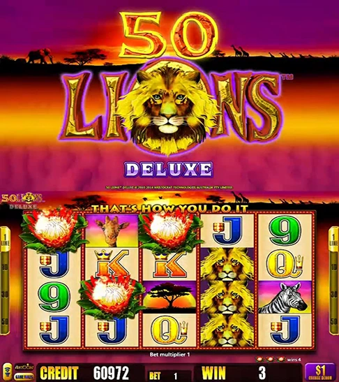 50 Lions Deluxe
