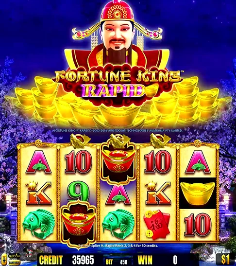 Fortune King Rapid